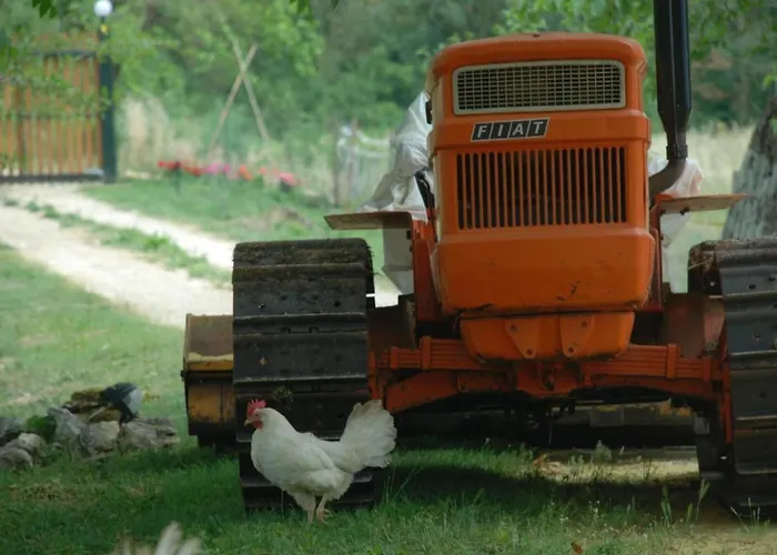 Unabhaengige In Amelia Mit Garten- Grill By Interhome Apartment Porchiano (Terni)